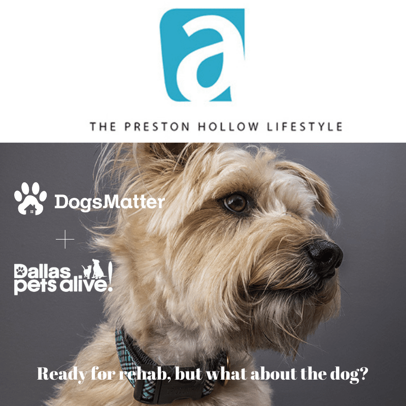 Dogs Matter + Dallas Pets Alive